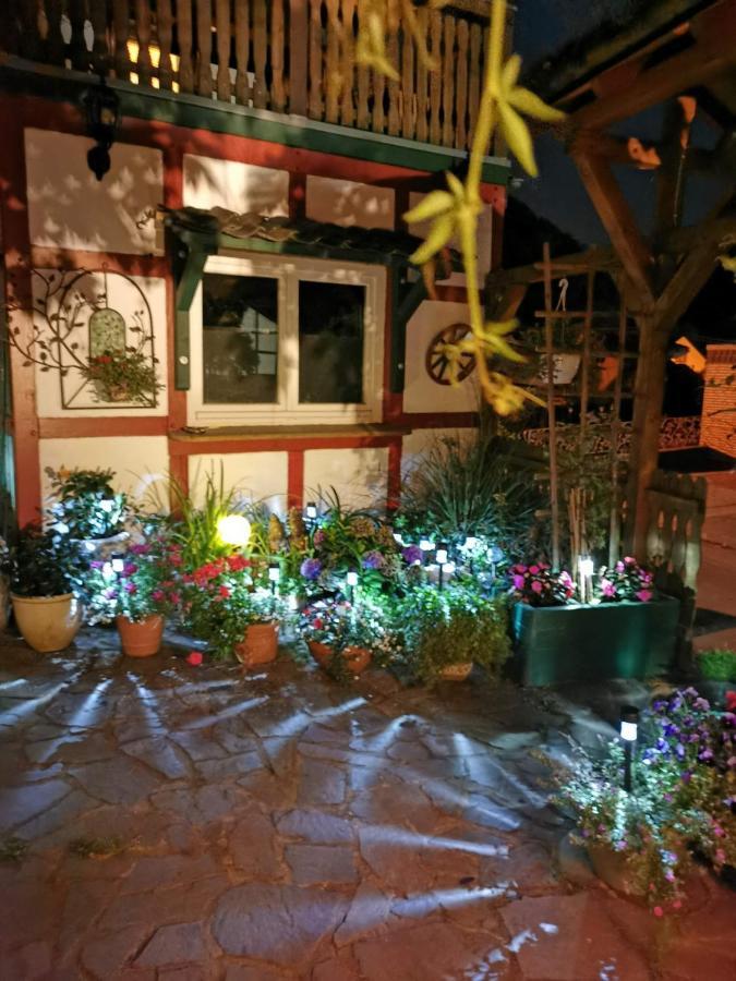 Am Ruebenkeller Acomodação com café da manhã Binzenbach Exterior foto